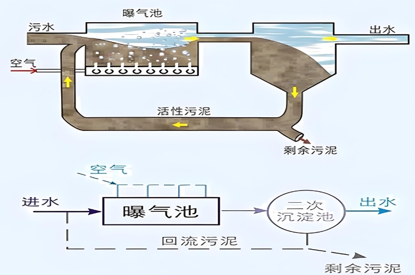 活性污泥系統(tǒng)污泥回流池怎么控制？